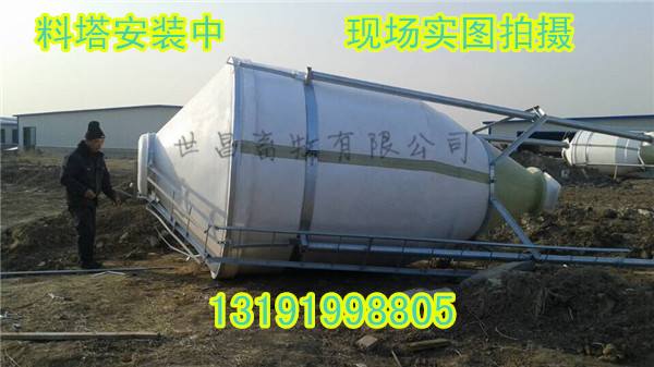 養(yǎng)豬設備全自動化供料系統(tǒng)批發(fā)